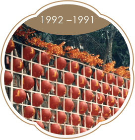 1991年—1992年