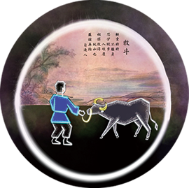 牧牛