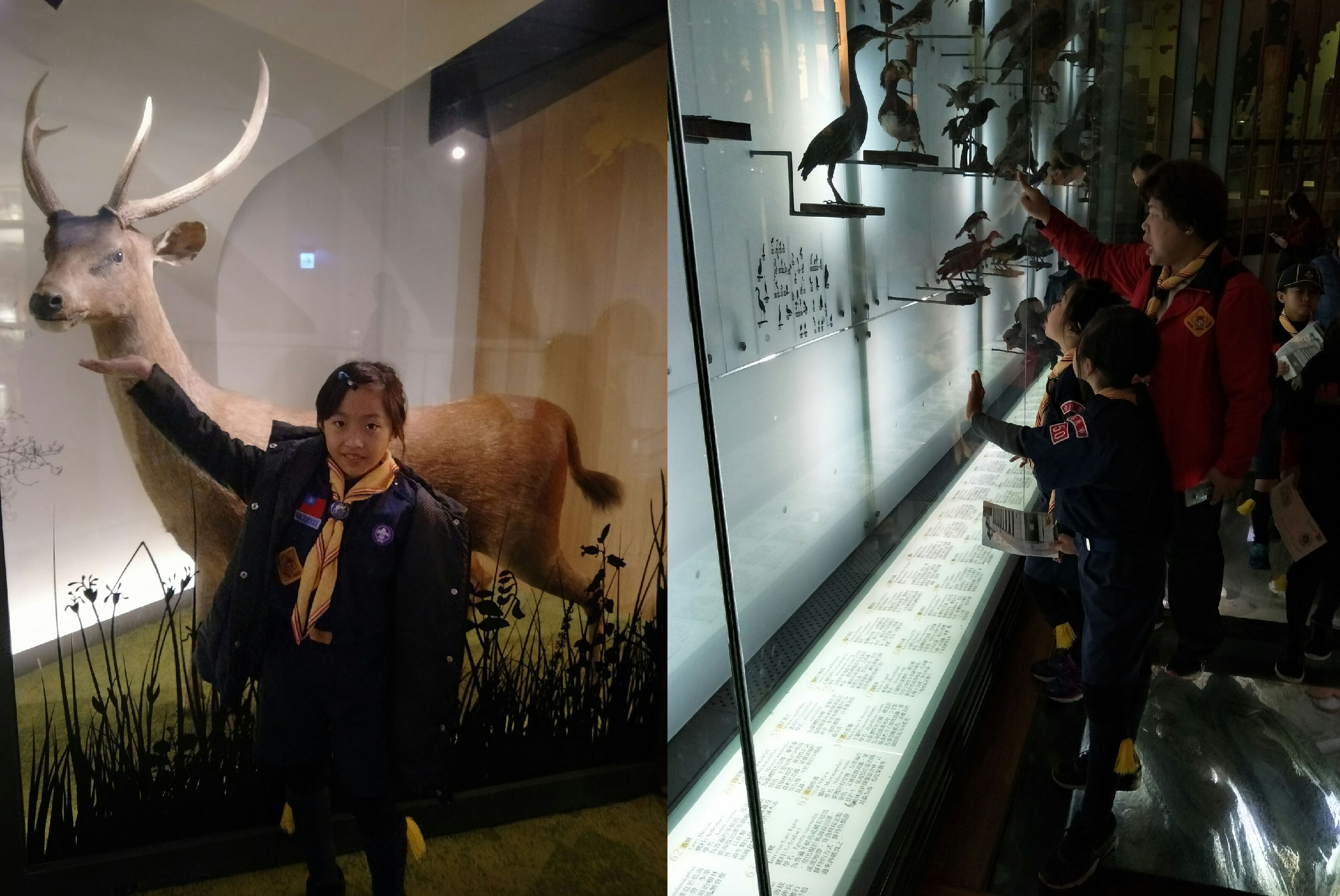 2018128 國家歷史博物館_180131_004506-01.jpg