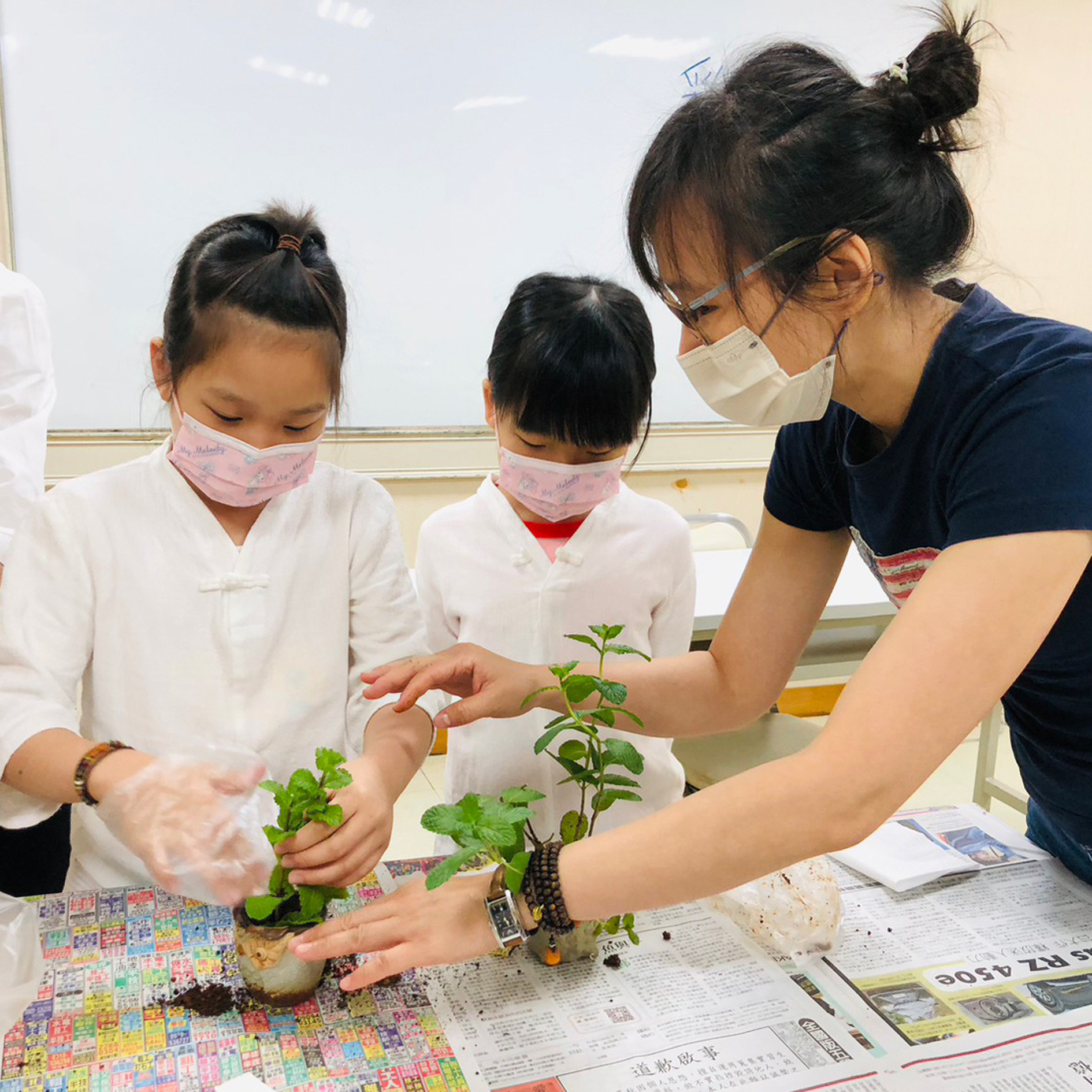 12 LINE_ALBUM_202356 種薄荷_泡薄荷高山茶_230511_76_0.jpg