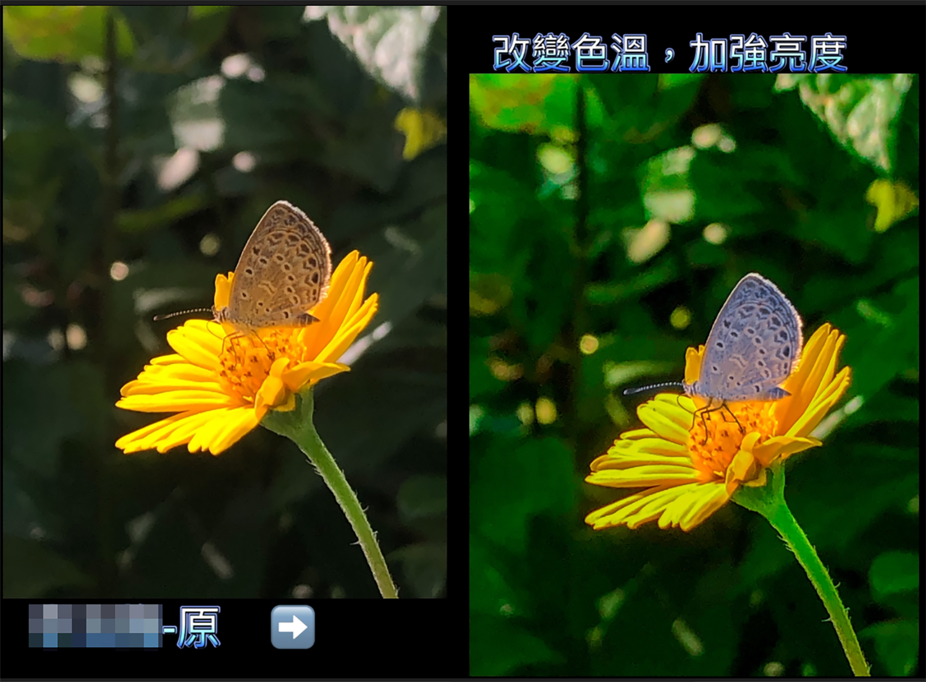數位攝影-畫面調整03_0.jpg