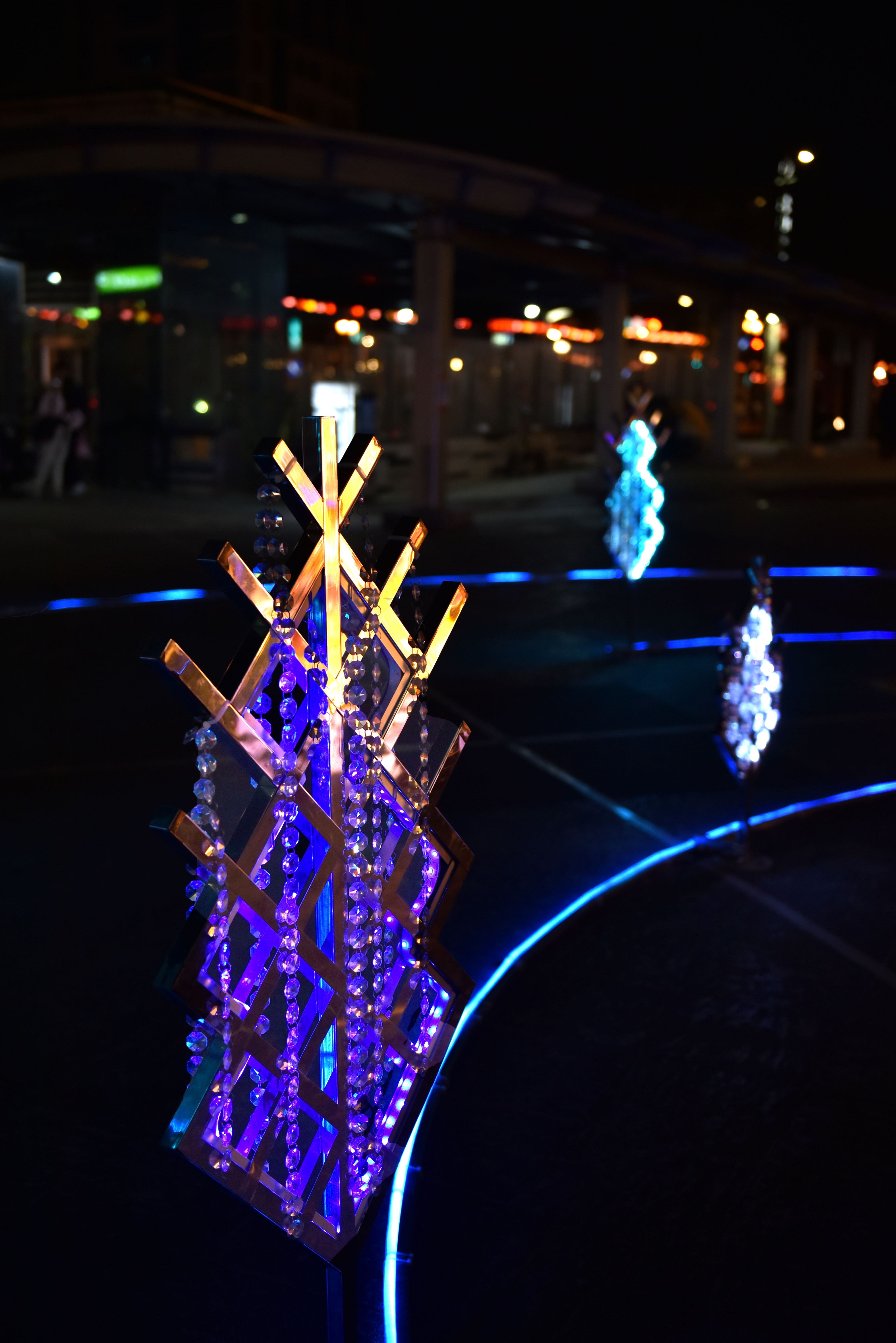 DSC_3595_0.JPG