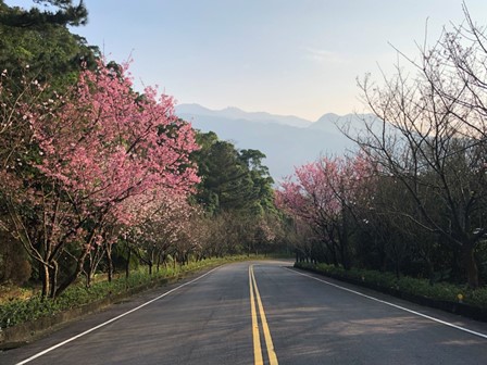 佛光山北海道場～花開四季  耕耘心田