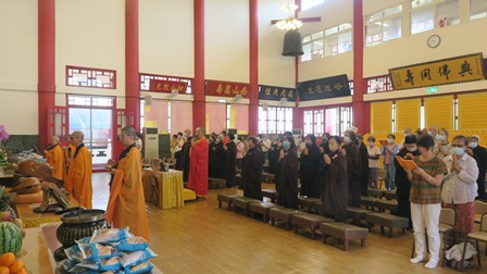 IMG_7433_0.jpg