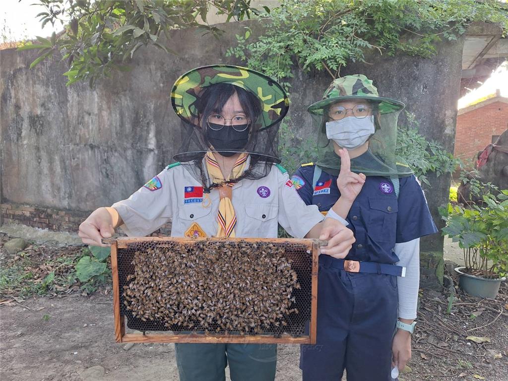 大小童軍近距離觀察蜂箱內蜜蜂的工作情景。.png