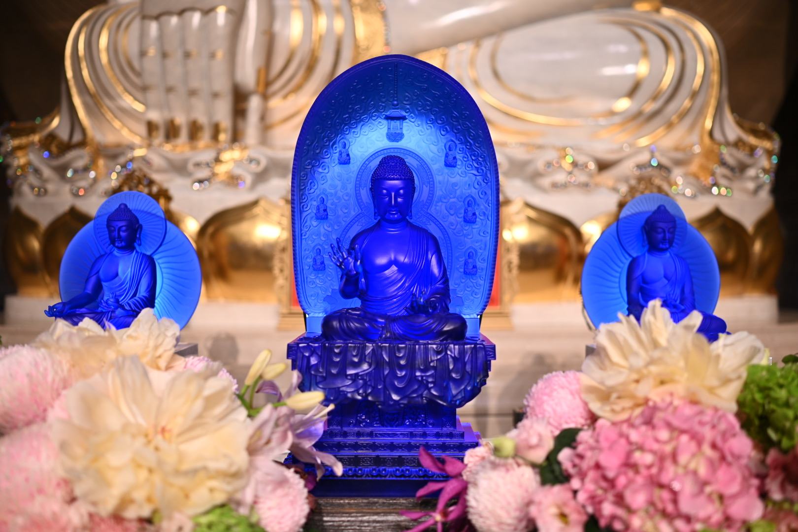 一日到一生 (1).jpg