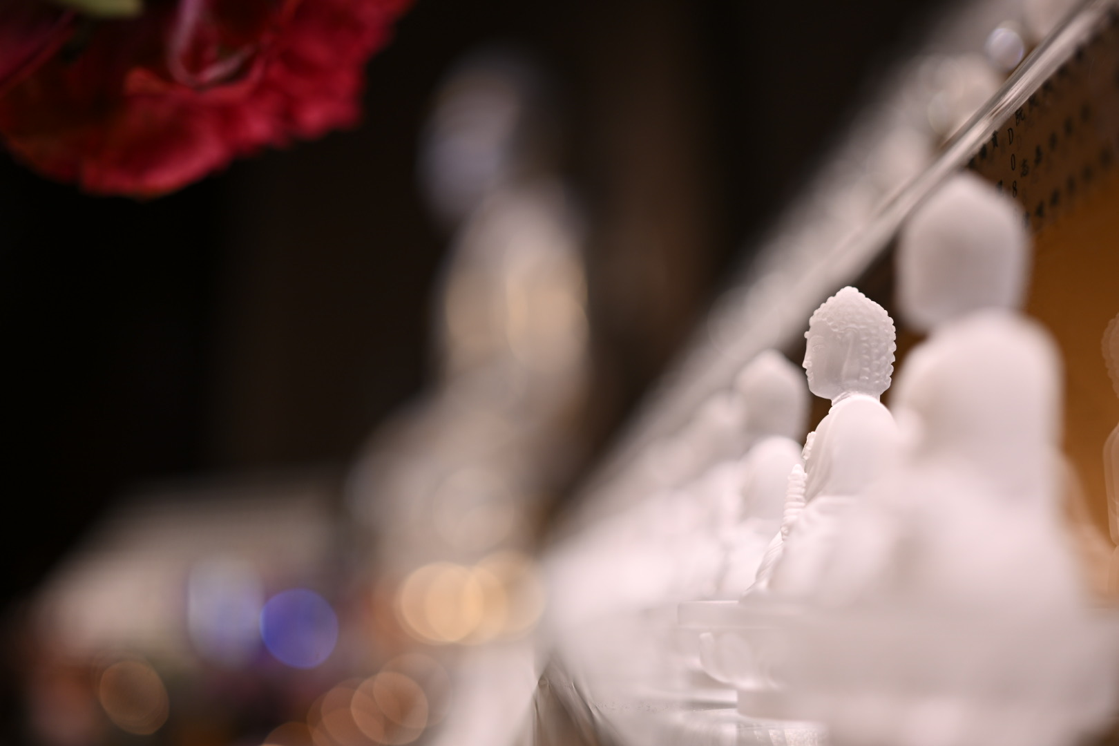 一日到一生 (2).jpg