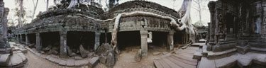 柬埔寨暹粒／塔布蘢寺